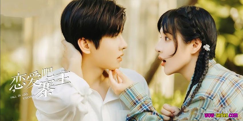 ทะลุมิติรักท่านนายหญิง