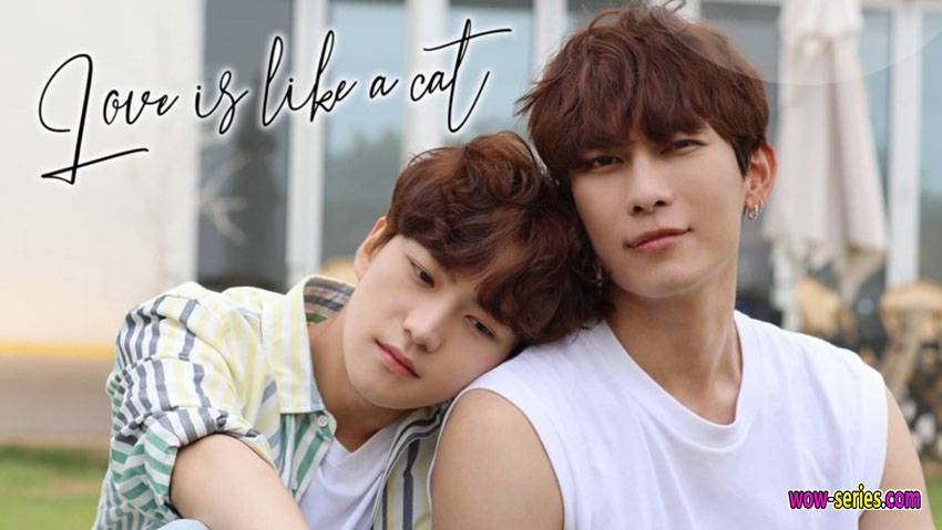 รักนี้ หมาหรือแมว